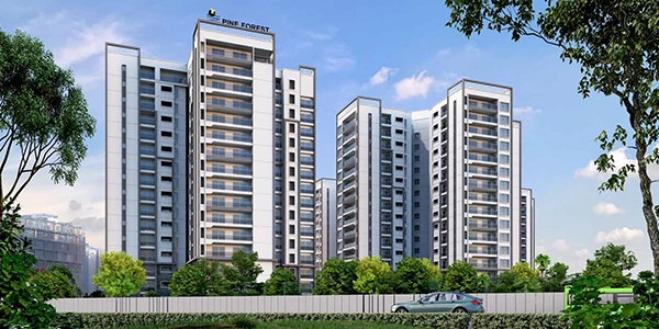 Prestige Pine Forest