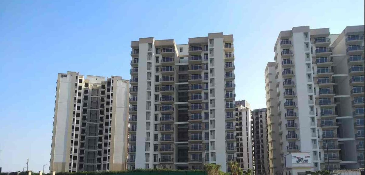 Vardhman Flora