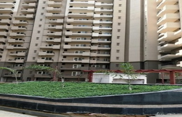 AWHO Shanti Vihar photos